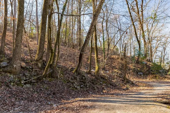 Un chemin de terre mène dans une forêt dense avec des arbres dénudés en automne.