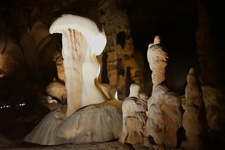 Photo de la visite